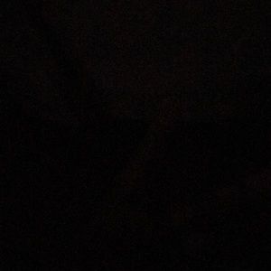 Meet your Posher, Camryn